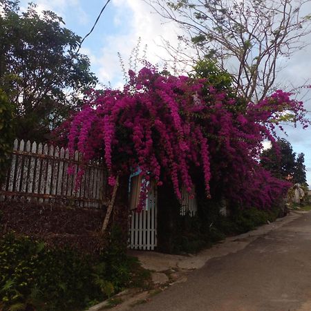 Ly'S Homestay Gia Nghĩa Exterior photo