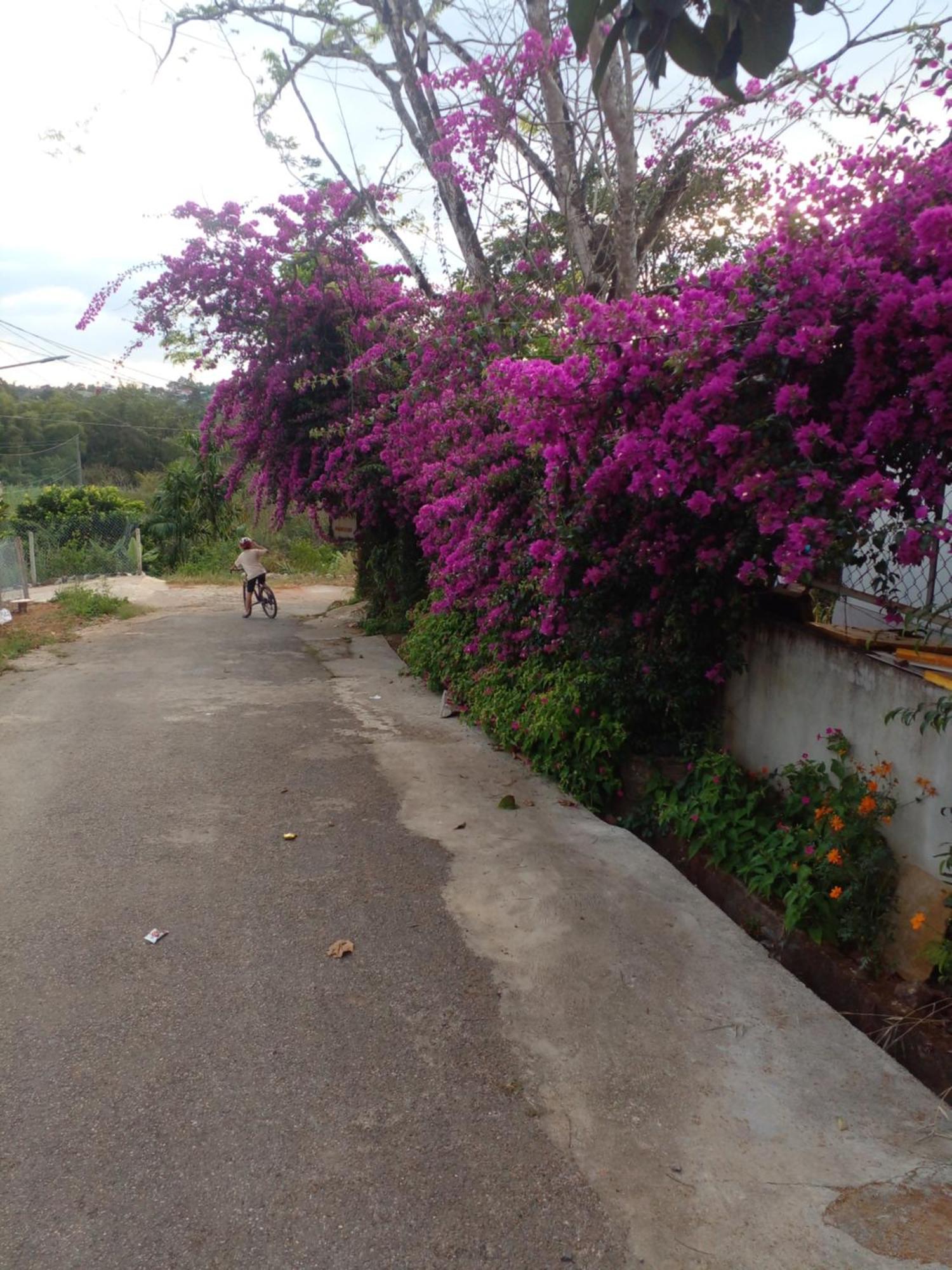 Ly'S Homestay Gia Nghĩa Exterior photo