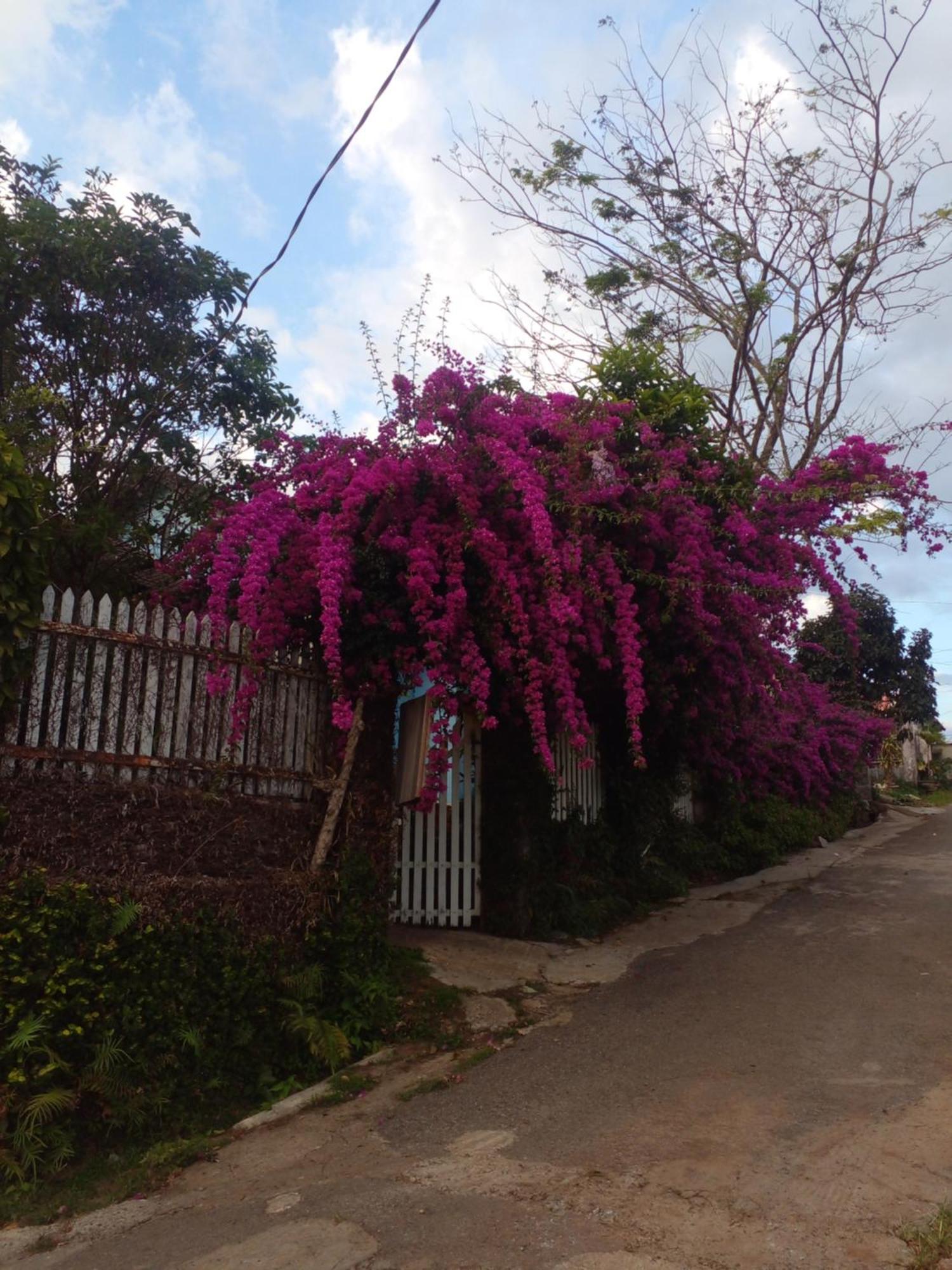 Ly'S Homestay Gia Nghĩa Exterior photo